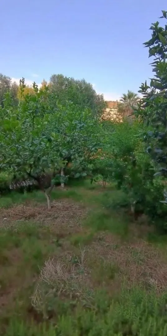 公寓 Appartamento Valona Vlorë